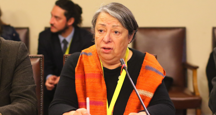 Directora del INDH y modificaciones al proyecto de las RUF: “Son un grave retroceso en las garantías”