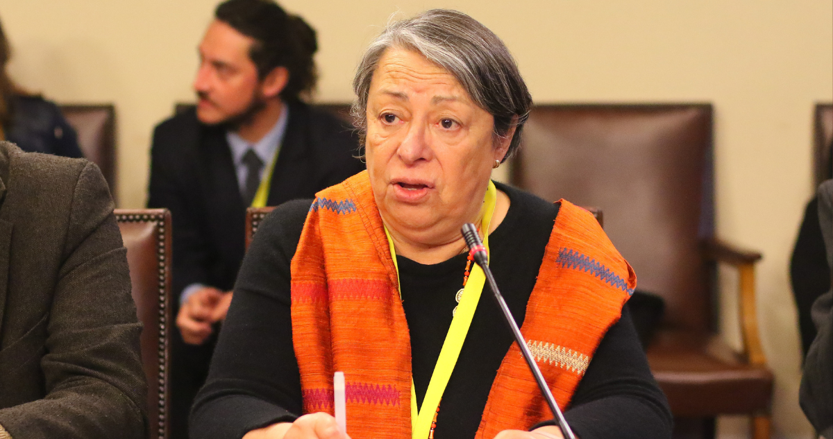 Directora del INDH y modificaciones al proyecto de las RUF: “Son un grave retroceso en las garantías”