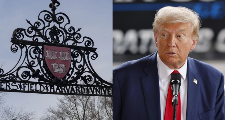 Jueza da un respiro a Harvard y bloquea prohibición de Trump de matricular a estudiantes extranjeros