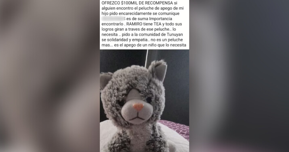 Familia Argentina ofreció recompensa para encontrar peluche de apego de  su hijo y terminó siendo extorsionada