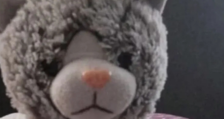 Familia Argentina ofreció recompensa para encontrar peluche de su hijo y terminó siendo extorsionada