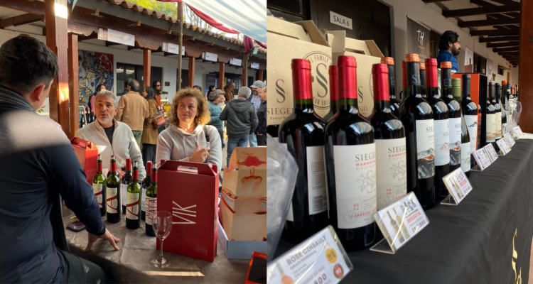 Alistan últimos detalles para la segunda ‘Feria del Vino’ en La Reina: habrá viñateros de todo Chile