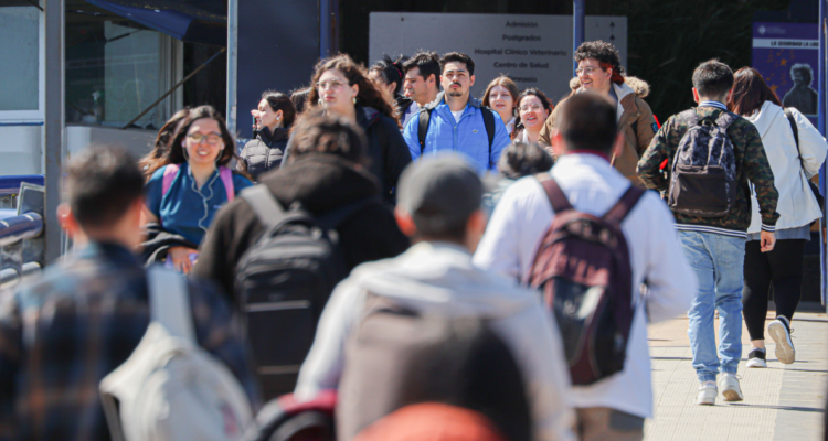 Universidades llamen a sumarse a la discusión por financiamiento de la educación superior FES