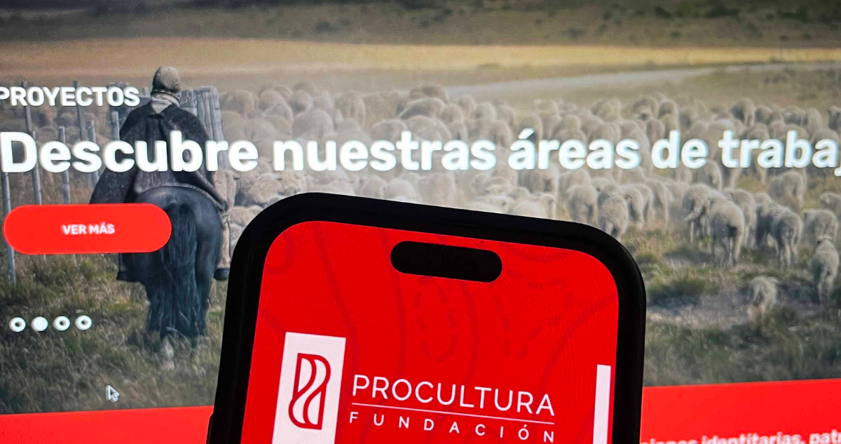 Logo de fundación ProCultura por deudas de cotizaciones con trabajadores despedidos en Lota