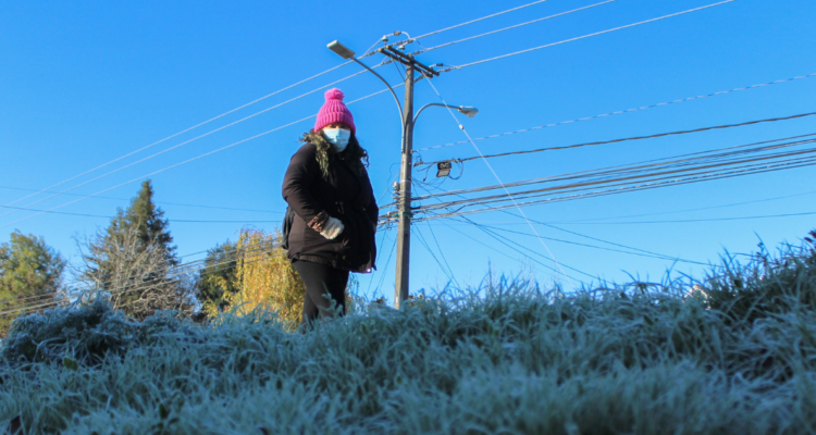 A sacar los abrigos: las 4 regiones que tendrán heladas esta semana con temperaturas hasta -4 °C