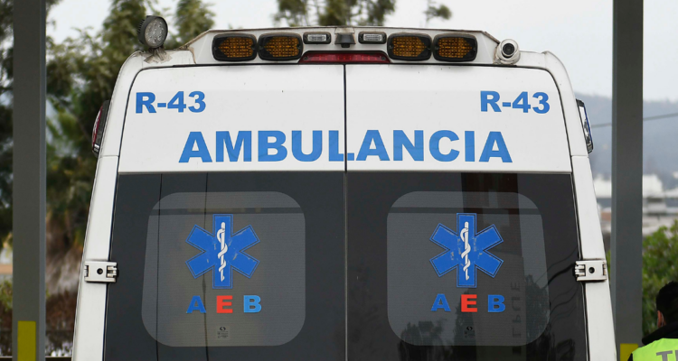 herida cuero cabelludo mordedura punta arenas