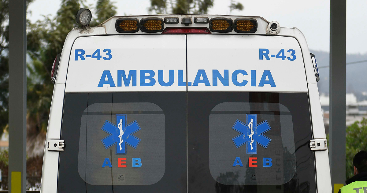 herida cuero cabelludo mordedura punta arenas