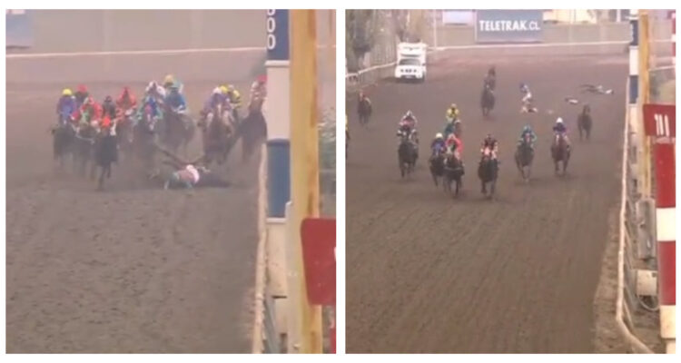 Un caballo muerto y cuatro jinetes lesionados deja rodada en el Hipódromo Chile