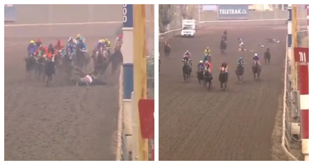 Un caballo muerto y cuatro jinetes lesionados deja rodada en el Hipódromo Chile