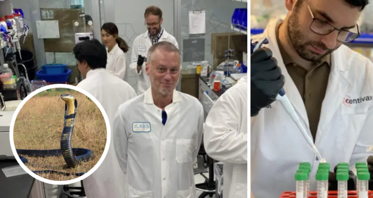 Hombre se dejó morder 18 años por serpientes venenosas, ahora podría ser un antídoto universal