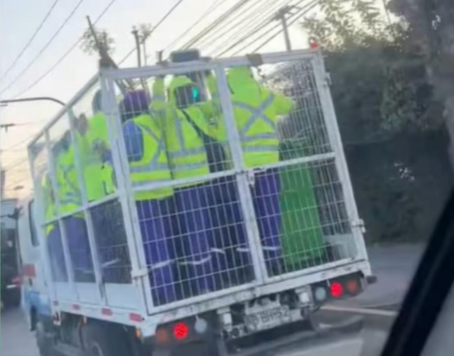 DT investiga a empresa que trasladaba a trabajadores atrás de camión: iban de pie y sin seguridad