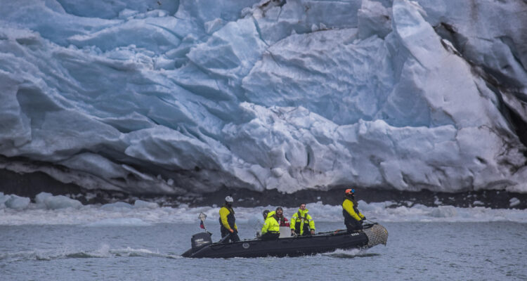 Identifican más de 2.400 nuevos genómas virales en la Antártica