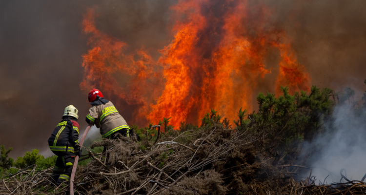 Bomberos combatiendo incendios forestales en la región de Los Lagos