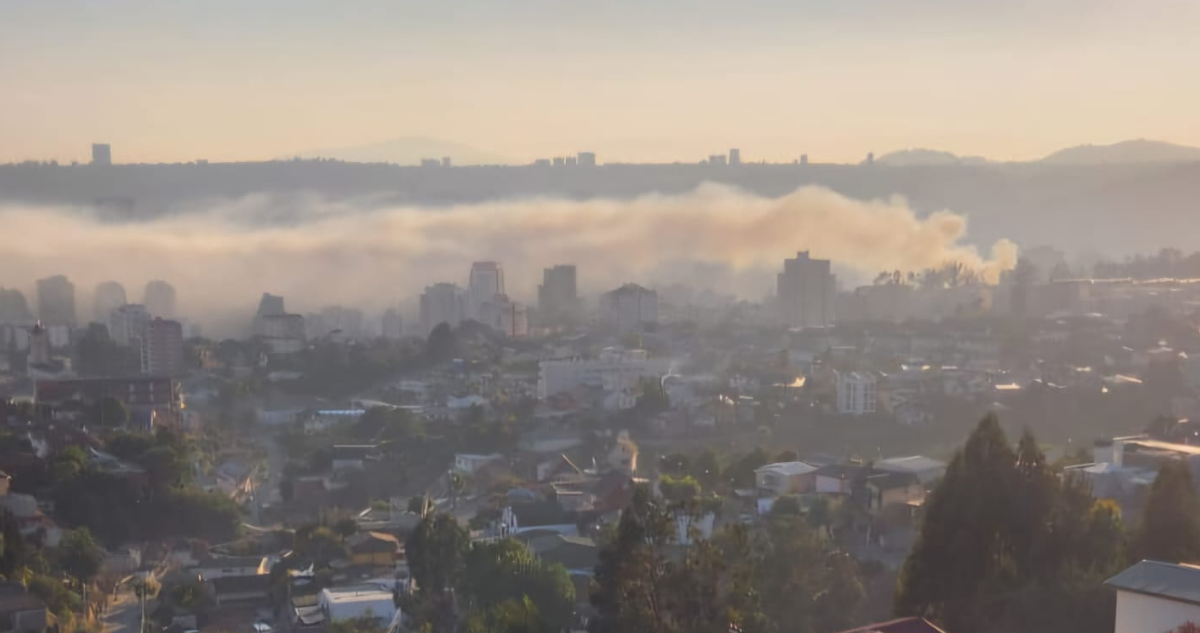 incendio-vina-del-mar-2.png