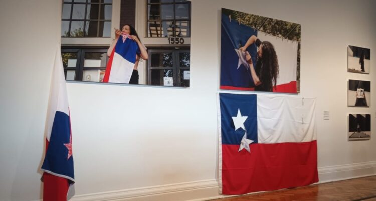 La bandera en los tiempos de la indignación, Janet Toro, EM