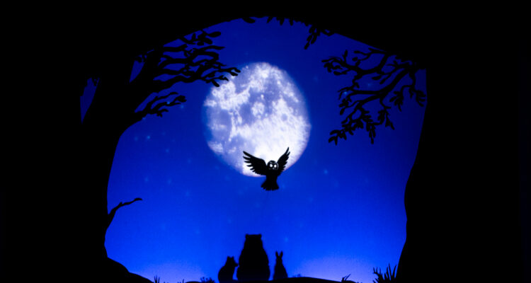 Tras agotar entradas: Teatro Municipal de Santiago suma funciones de obra infantil “La danza del oso”