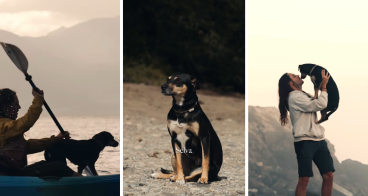 La historia de la perra callejera que adoptaron en Chile y fue llevada a España con su nueva familia