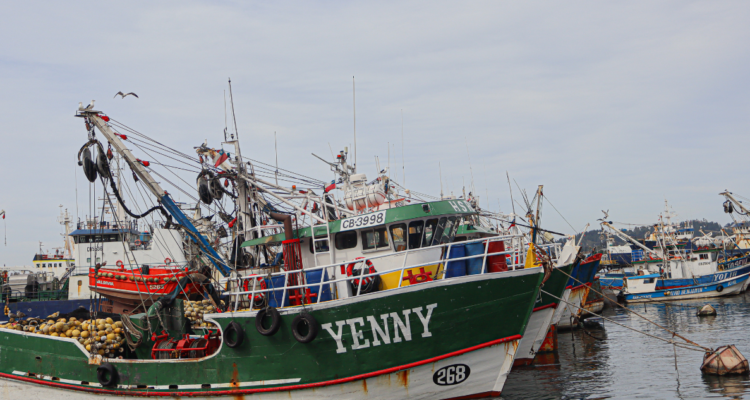 Lanchas de pescadores artesanales por marcha en medio de tramitación de ley de fraccionamiento