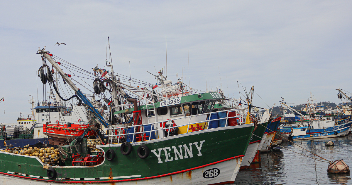 Lanchas de pescadores artesanales por marcha en medio de tramitación de ley de fraccionamiento