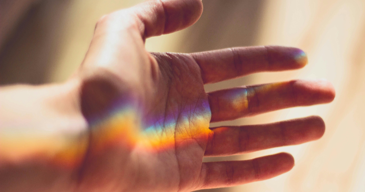 Experimento demostró que los seres vivos tienen una luz que se apaga con la muerte