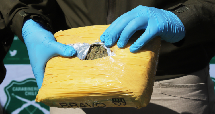 Incautación de más de 350 kilos de marihuana en Chimbarongo deja 3 detenidos: droga iba a Concepción
