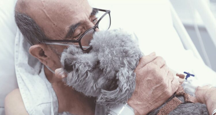 Mascotas podrán visitar a pacientes UCI del Hospital Clínico U. de Chile: “Un cuidado más humanizado”