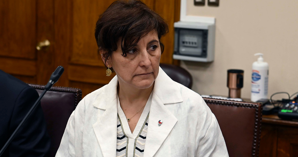 Ministra de Salud, Ximena Aguilera, por reunión con comunidades mapuche en La Unión