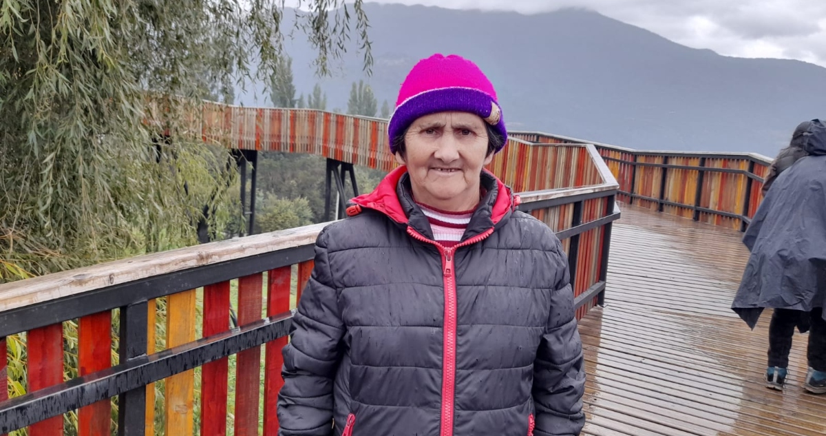 Mujer sigue hospitalizada tras desbarranco de bus en Cochamó