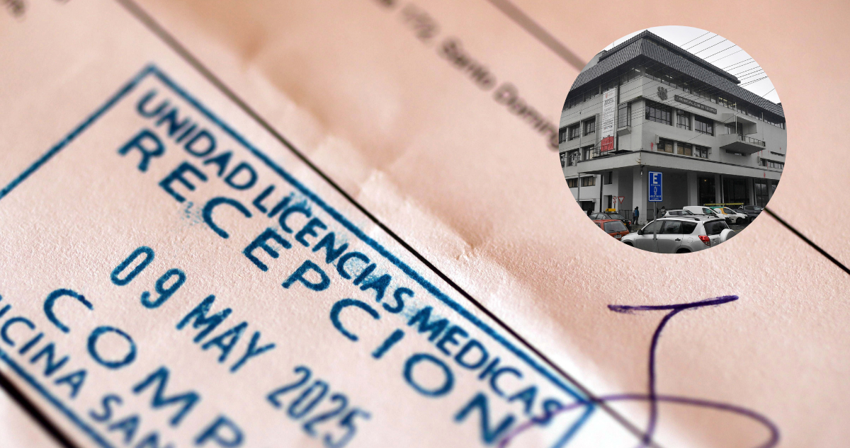 Municipalidad de Valdivia por caso de licencias