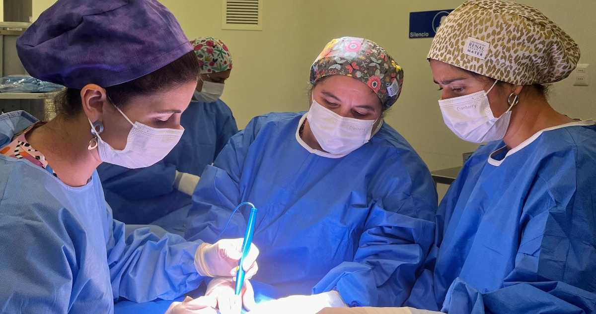 Primer operativo de cirugía infantil en Santiago: atenderán a más de 30 niños en Hospital Félix Bulnes