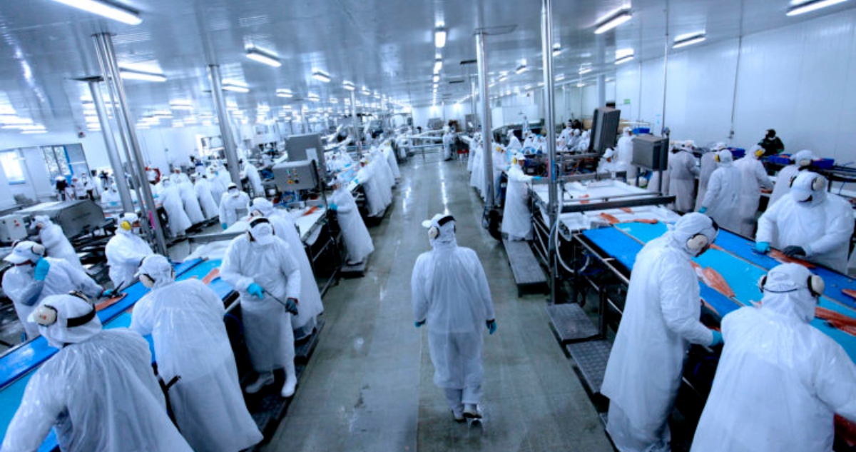 PacificBlu pide reabrir discusión legislativa por entrega de datos falsos en discusión de fraccionamiento