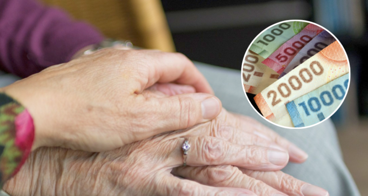 Programa de pago de cuidadores de personas con discapacidad