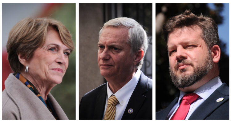 Panel Ciudadano-UDD: Matthei representa a los moderados, Kast el orden y Kaiser el extremo