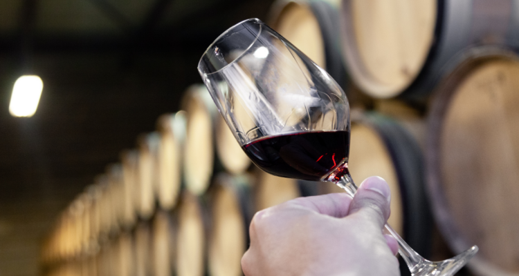 Participa y gana entradas para la Feria del Vino en La Reina con la Comunidad Bío Bío