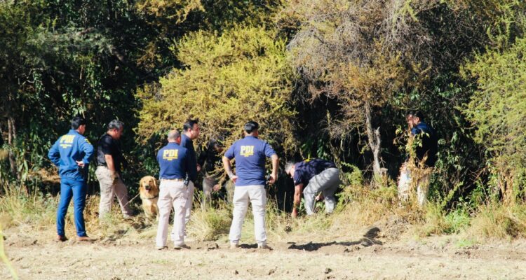 Delegado Presidencial de Los Andes