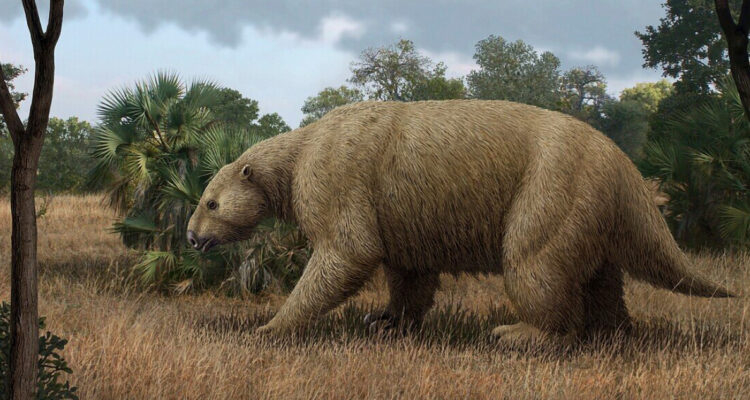 Representación artística de los perezosos gigantes