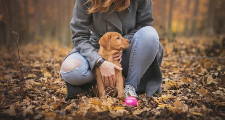 Pet parenting, la nueva tendencia en el cuidado de mascotas: 92% los considera miembros de la familia