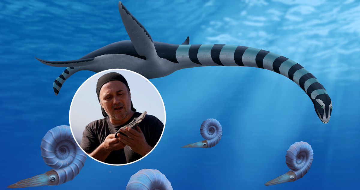 Imagen ilustrativa de la nueva especie de plesiosaurio