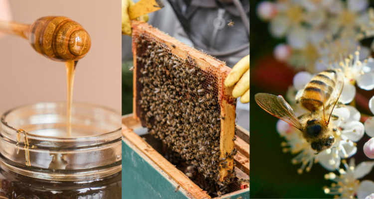 En qué fijarse antes de comprar miel
