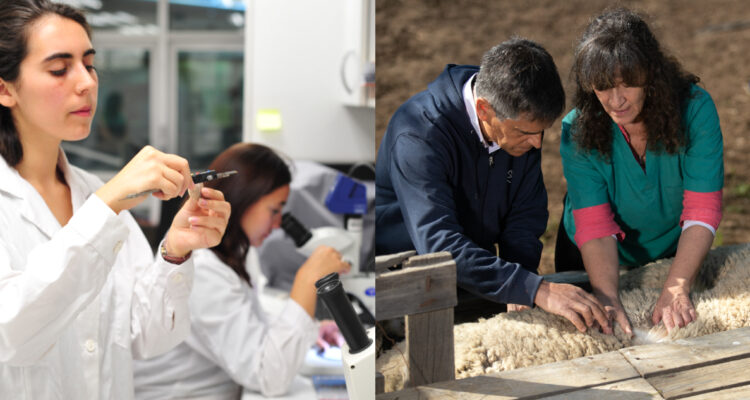 Universidad Santo Tomás presentó proyecto FIUT para impulsar aportes a la investigación en Chile