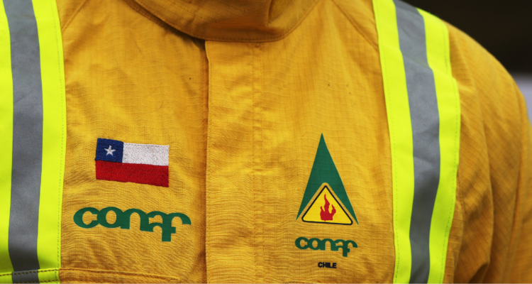 Qué es Sernafor, el nuevo organismo que reemplazará a Conaf con novedades en combate de incendios