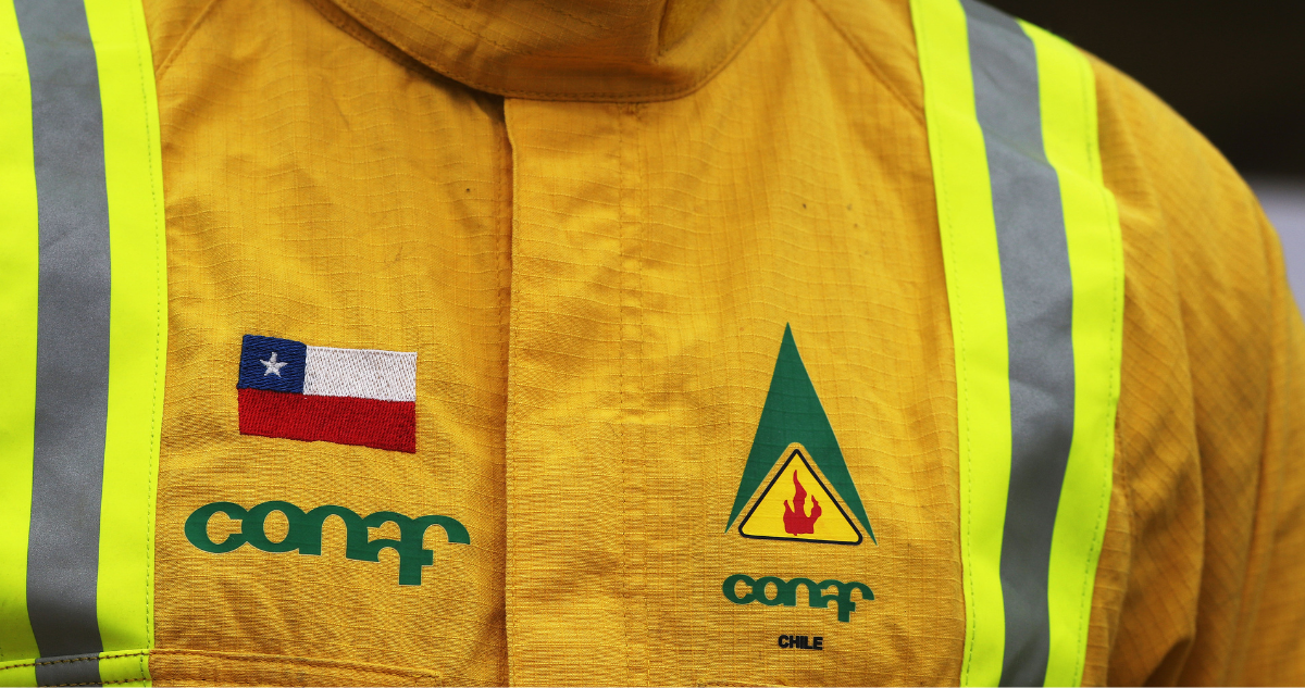 Qué es Sernafor, el nuevo organismo que reemplazará a Conaf con novedades en combate de incendios