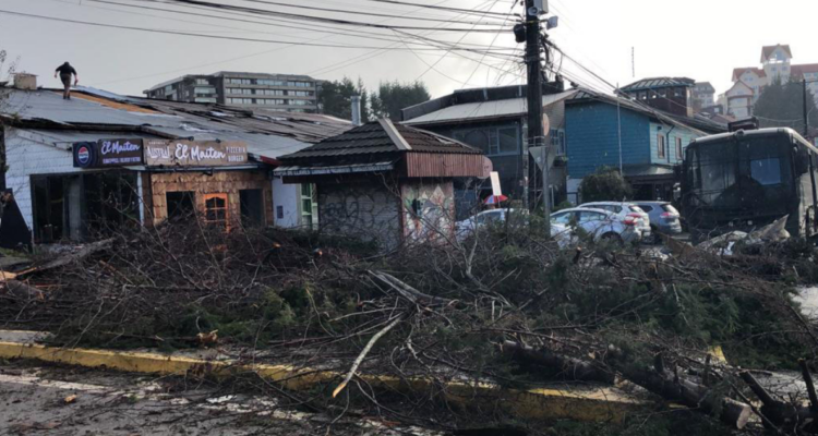 región de los lagos plan desastre