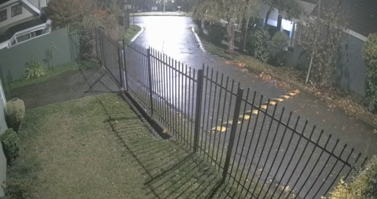 Carabineros recupera registros de ataque a mujer con proyectil de aire comprimido en Temuco
