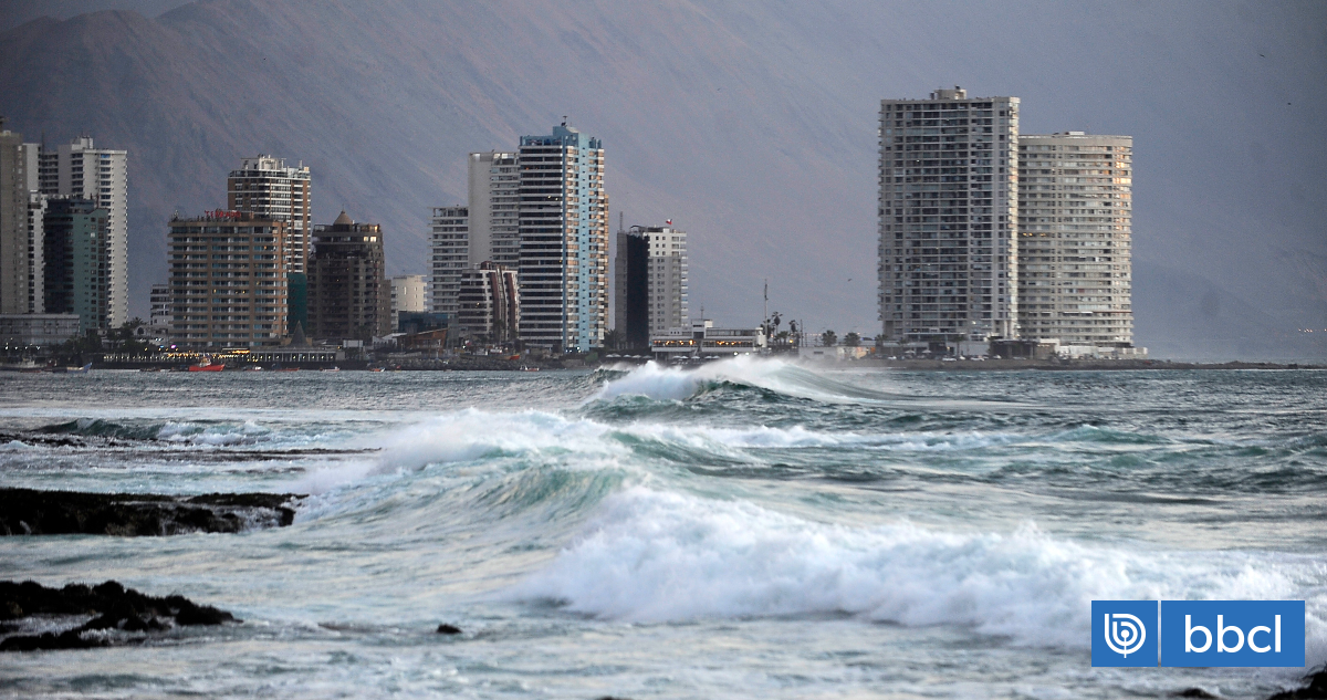Emiten nuevo aviso de marejadas desde Arica hasta Aysén: revisa días y horarios de mayor intensidad