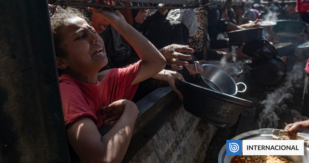 Reportan saqueo de 77 camiones con harina en la Franja de Gaza: 