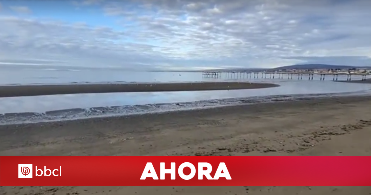 Misterioso recogimiento del mar en Magallanes: SHOA aclara el fenómeno