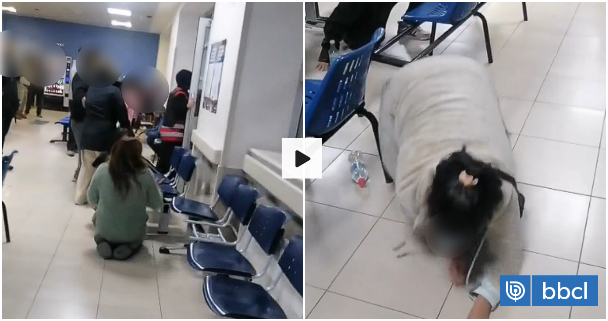 Pánico en el Hospital de Copiapó tras balacera a metros de la sala de espera