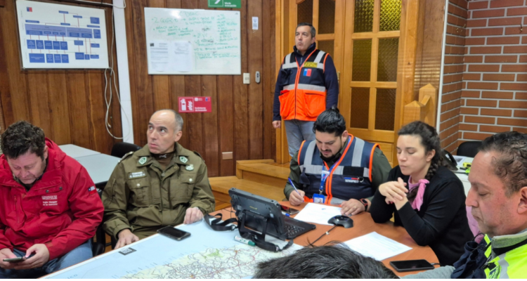 Delegación Los Lagos | X