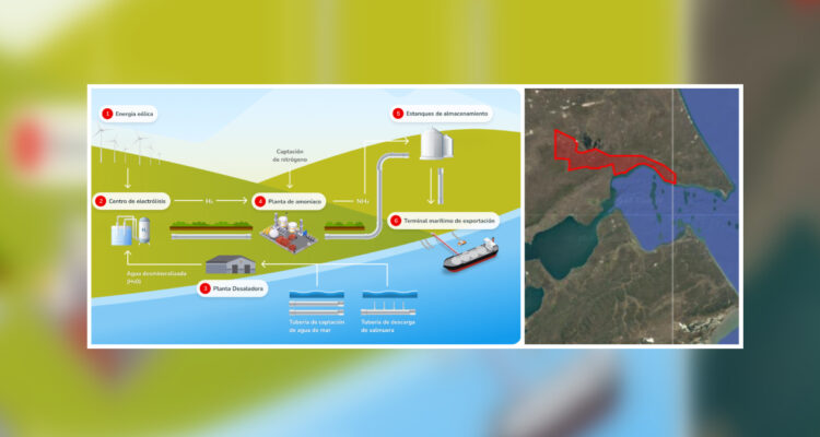 Megainversión en hidrógeno verde: El proyecto de TotalEnergies que generaría 10 mil empleos en Chile
